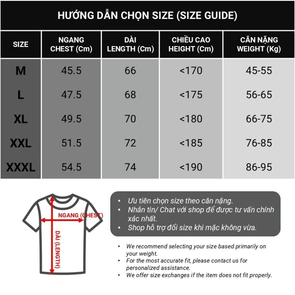 Alternative view of Áo phông nam cổ tròn Form đẹp chất Cotton Cát mềm mát - Áo thun nam Basic trơn co giãn cao cấp ReYES RTX001