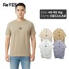 Áo thun nam cổ tròn Cotton Cát co giãn 4 chiều ReYES RTX001 - Áo phông nam Basic Form Regular thoáng mát